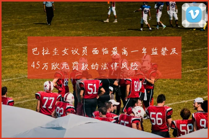 巴拉圭女议员面临最高一年监禁及45万欧元罚款的法律风险