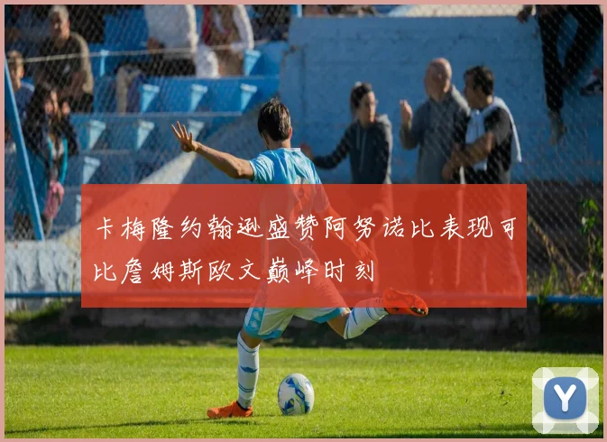 卡梅隆约翰逊盛赞阿努诺比表现可比詹姆斯欧文巅峰时刻
