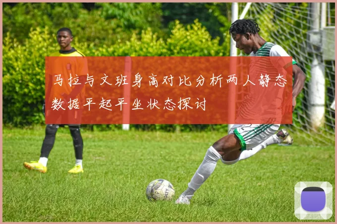 马拉与文班身高对比分析两人静态数据平起平坐状态探讨